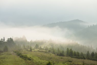 Ködös reggel-a Kárpátok