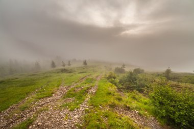 Ködös reggel-a Kárpátok