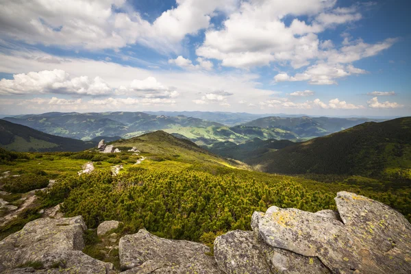 Majestätiska berg landskap med färska gröna blad — Stockfoto
