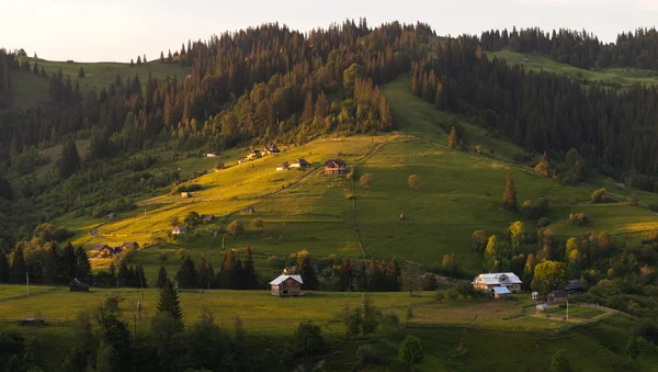 Evening landscape in summer time in mountains — Stock Photo, Image