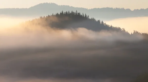 Prachtige zonsopgang met de ochtend mist — Stockfoto