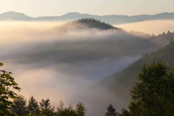 Vacker soluppgång med morgondimman — Stockfoto