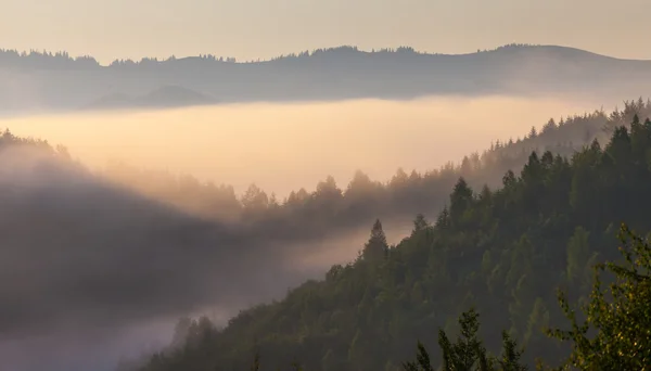 Beau lever de soleil avec la brume du matin — Photo