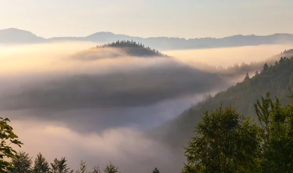 Hermoso amanecer con la niebla de la mañana — Foto de Stock
