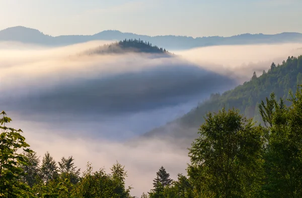 Prachtige zonsopgang met de ochtend mist — Stockfoto