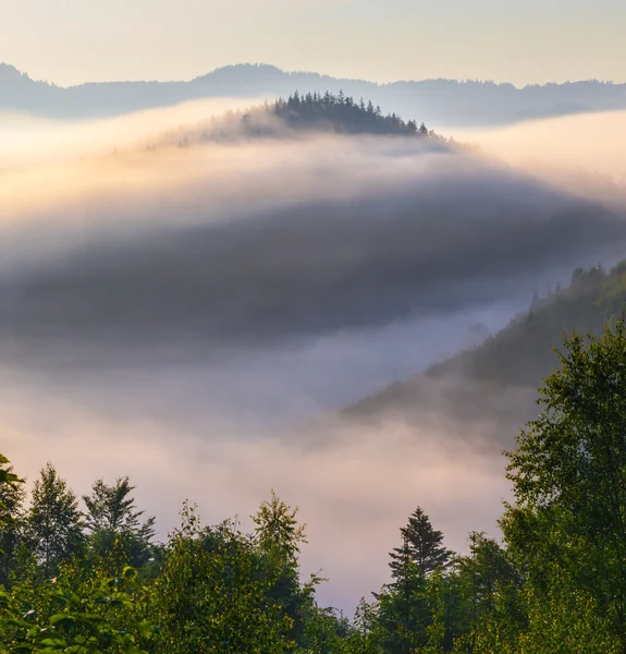 Hermoso amanecer con la niebla de la mañana — Foto de Stock