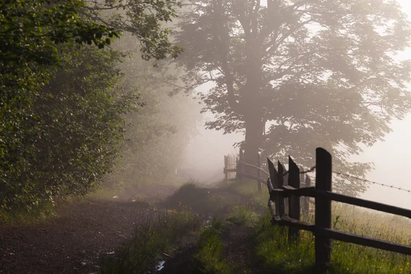 Hermoso amanecer con la niebla de la mañana — Foto de Stock