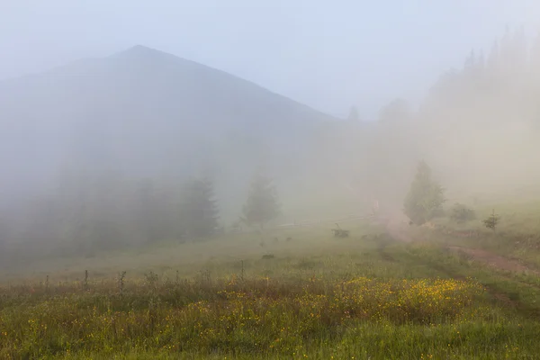 Hermoso amanecer con la niebla de la mañana —  Fotos de Stock