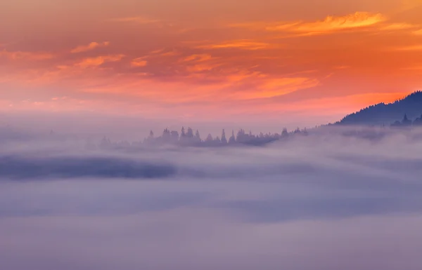 Piękny wschód słońca z rannej mgle — Zdjęcie stockowe