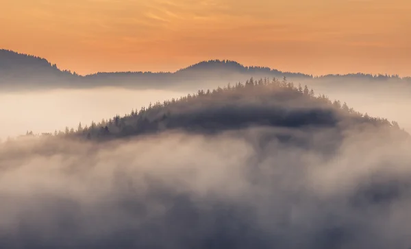 Beautiful sunrise with the morning mist — Stock Photo, Image