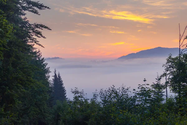 Belo nascer do sol com a névoa da manhã — Fotografia de Stock