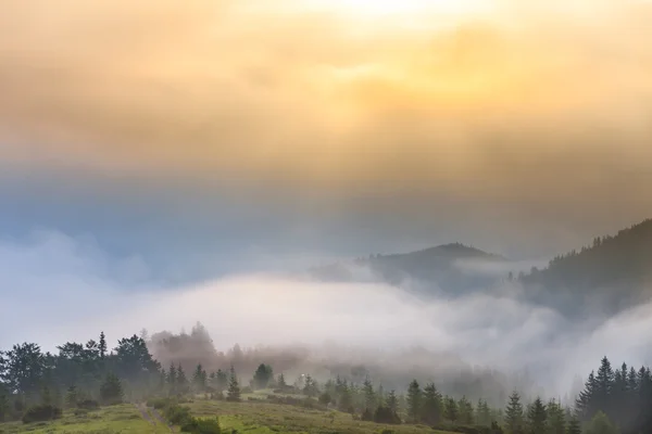 Matin brumeux dans les Carpates — Photo