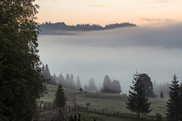 Bella alba con la nebbia del mattino — Foto Stock