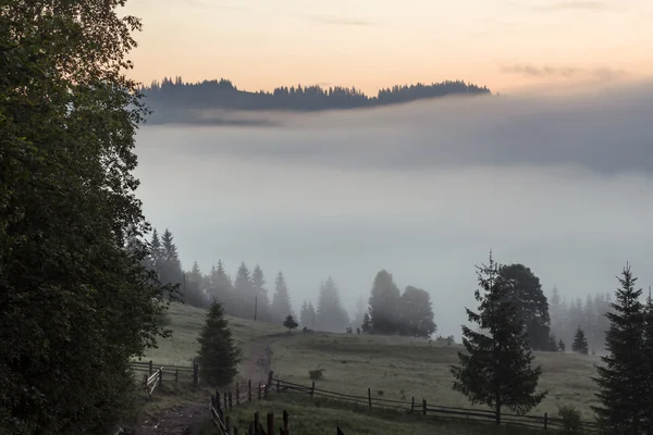 Prachtige zonsopgang met de ochtend mist — Stockfoto