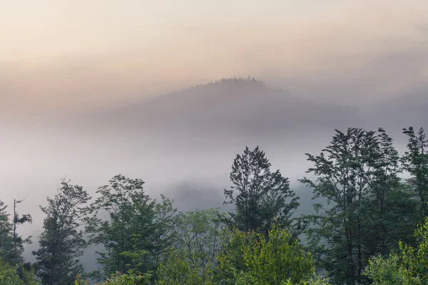 Prachtige zonsopgang met de ochtend mist — Stockfoto