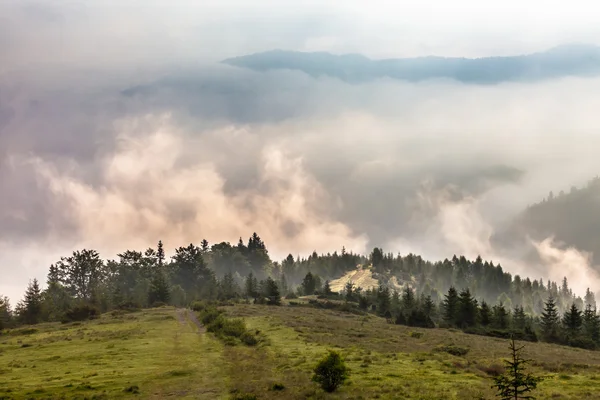 Matin brumeux dans les Carpates — Photo