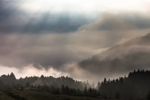 Misty morning in the Carpathians — Stock Photo, Image