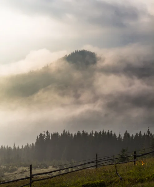 Misty manhã nos Cárpatos — Fotografia de Stock