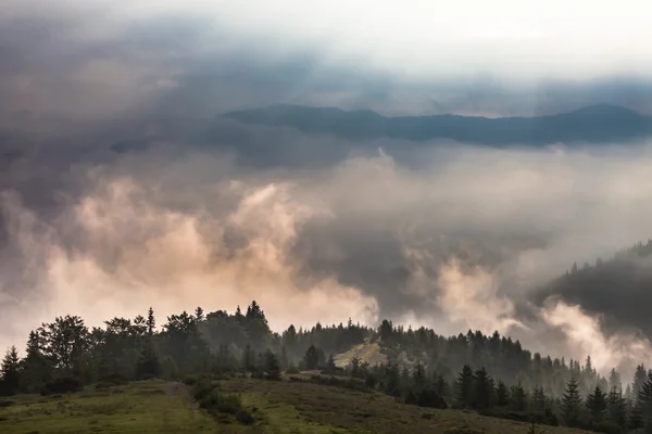 Misty manhã nos Cárpatos — Fotografia de Stock