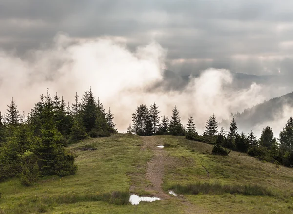 Dimineața cețoasă în Carpați — Fotografie, imagine de stoc