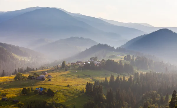 Misty morning in the Carpathians — Stock Photo, Image