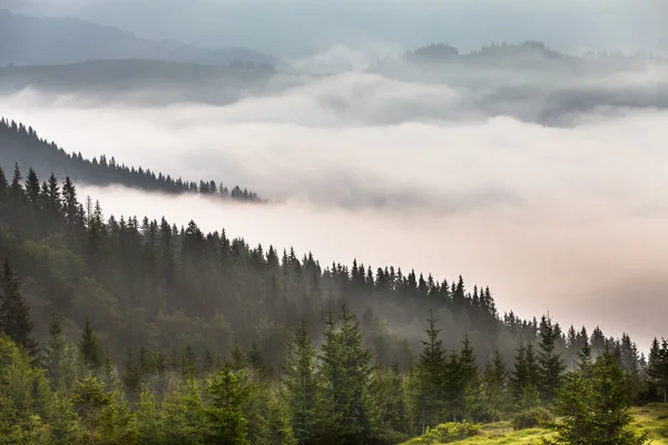 Incredibile paesaggio montano con nebbia — Foto Stock