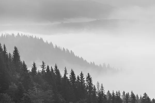 Úžasná horská krajina s mlhou — Stock fotografie