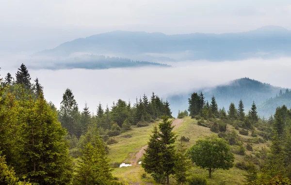 Nebliger Morgen in den Karpaten — Stockfoto