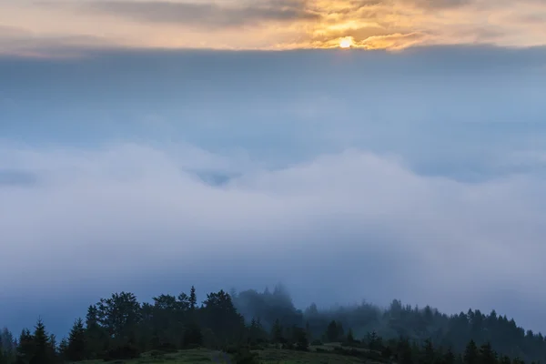 Geweldige berglandschap met mist — Stockfoto