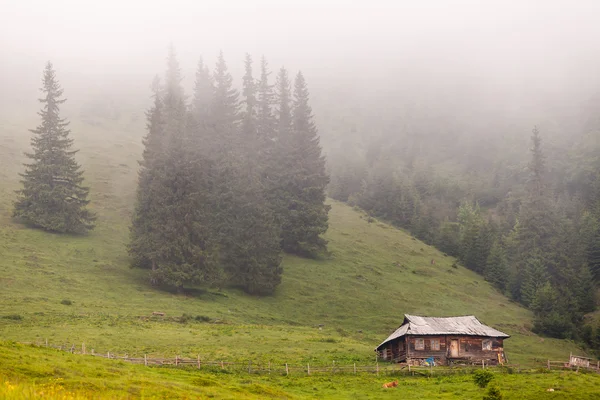 Increíble paisaje de montaña con niebla — Foto de Stock