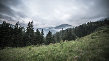 Ködös reggel-a Kárpátok