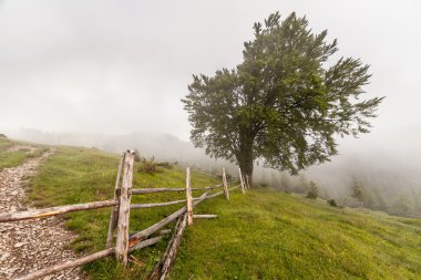 Ködös reggel-a Kárpátok
