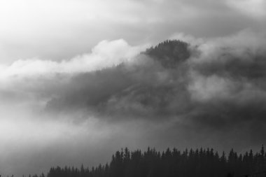 Ködös reggel-a Kárpátok