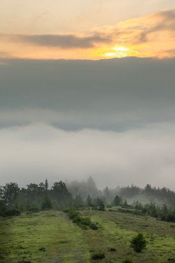 Sis ile inanılmaz dağ manzarası 
