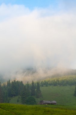 Sis ile inanılmaz dağ manzarası 