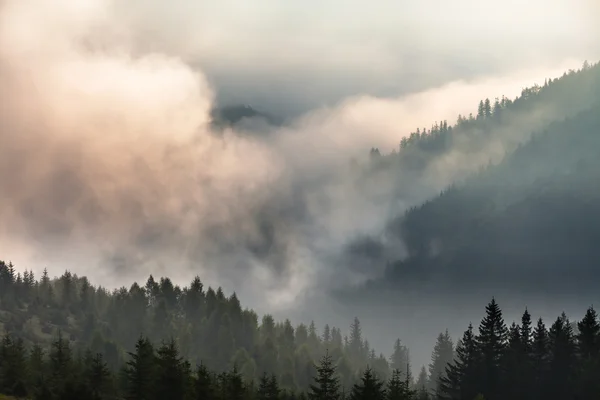 Ködös reggel-a Kárpátok — Stock Fotó