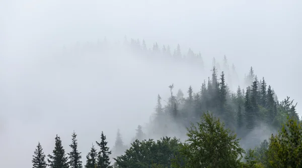 Mlhavé ráno v Karpatech — Stock fotografie