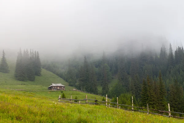Paisagem de montanha incrível com nevoeiro — Fotografia de Stock