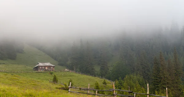 Paisagem de montanha incrível com nevoeiro — Fotografia de Stock