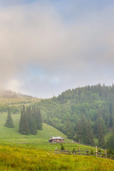 안개와 놀라운 산 풍경 — 스톡 사진