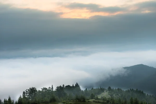 Incroyable paysage de montagne avec brouillard — Photo