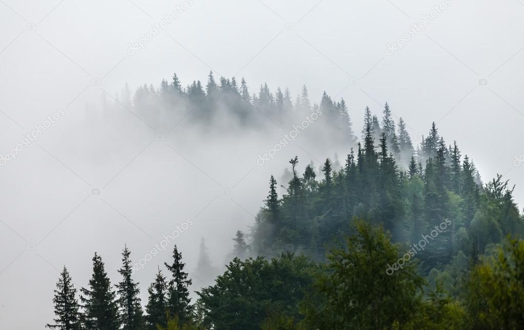 Misty morning in the Carpathians