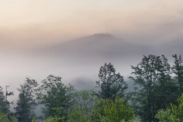 Восход солнца с утренним туманом — стоковое фото