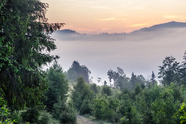 Prachtige zonsopgang met de ochtend mist — Stockfoto