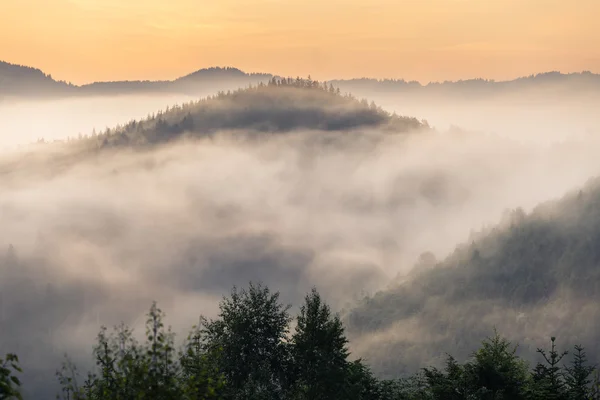 Bella alba con la nebbia del mattino — Foto Stock