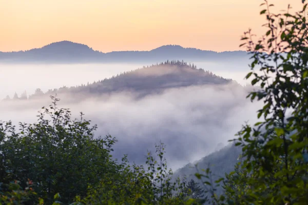 Prachtige zonsopgang met de ochtend mist — Stockfoto