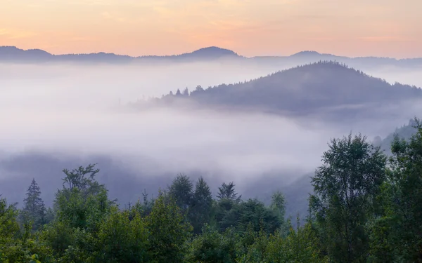 Hermoso amanecer con la niebla de la mañana — Foto de Stock