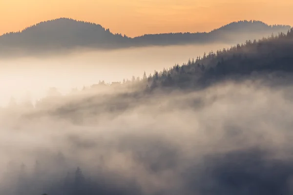 Beautiful sunrise with the morning mist — Stock Photo, Image