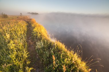Güneşli kirişler taze yeşil çim ile fantastik sisli Nehri.