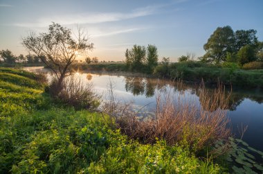 Yaz sunrise bir sis Nehri